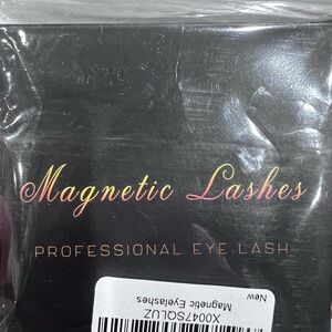 Magnetic Lashes Professional Eye Lash